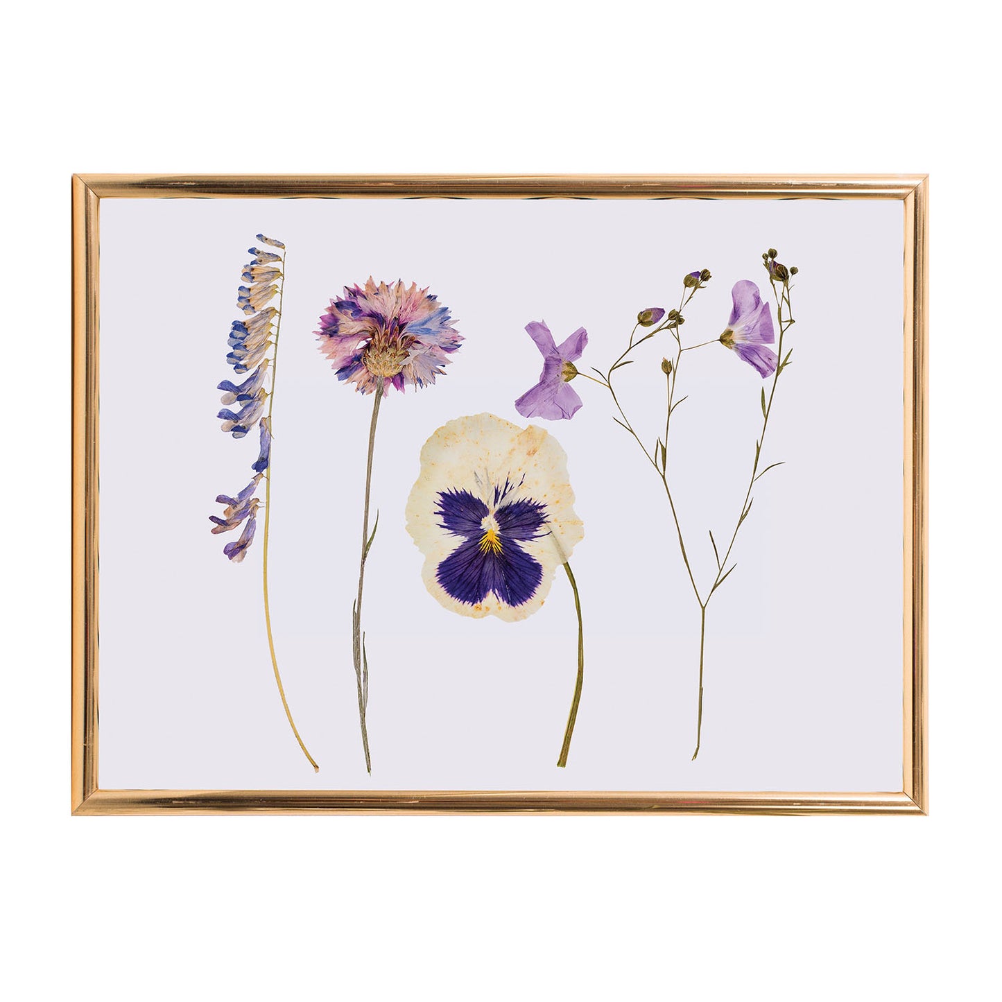 IS GIFT Classic Flower Press