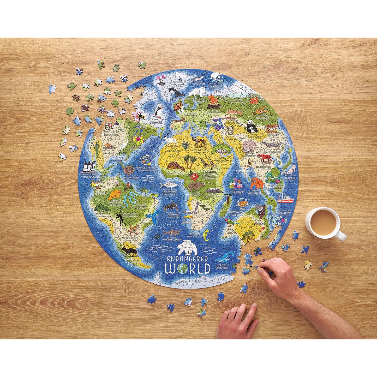 Ridley's Endangered World 1000Pc Jigsaw Puzzle 68cm