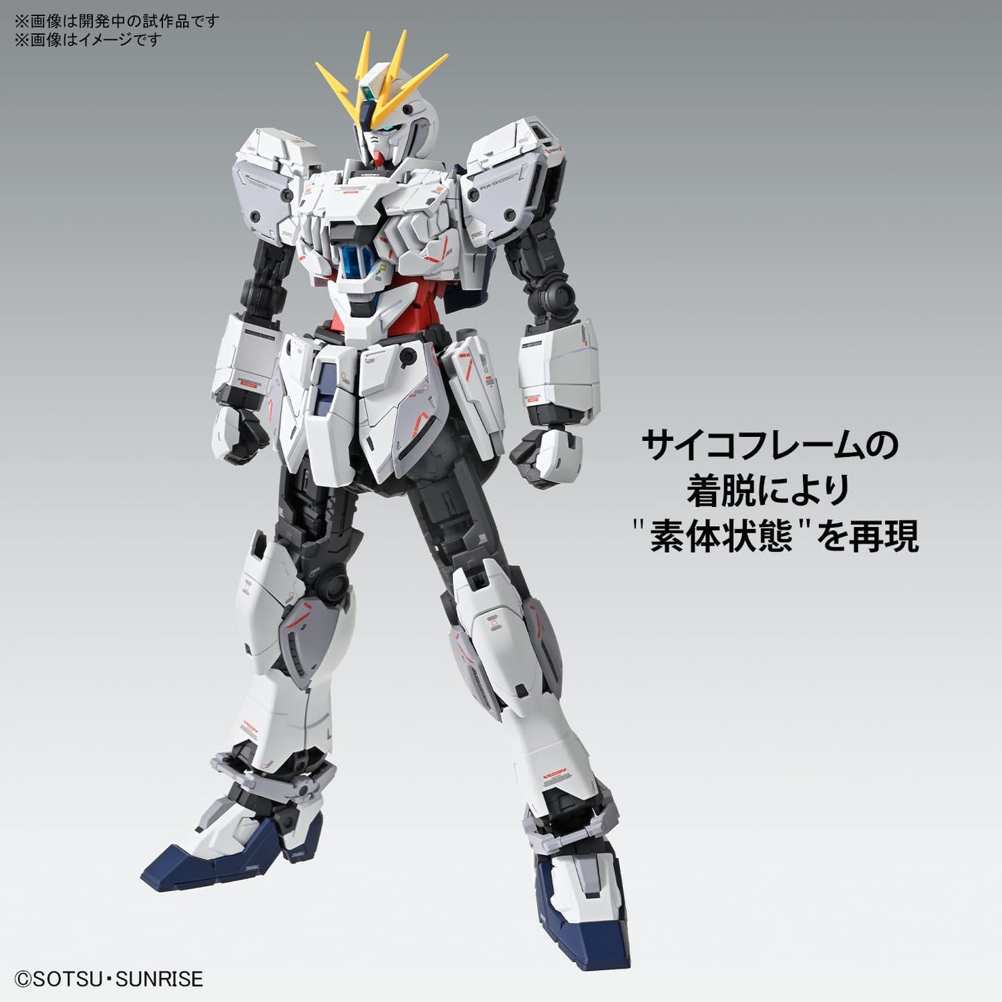 Bandai MG 1:100 Narrative Gundam C-Packs Ver.Ka Model Kit