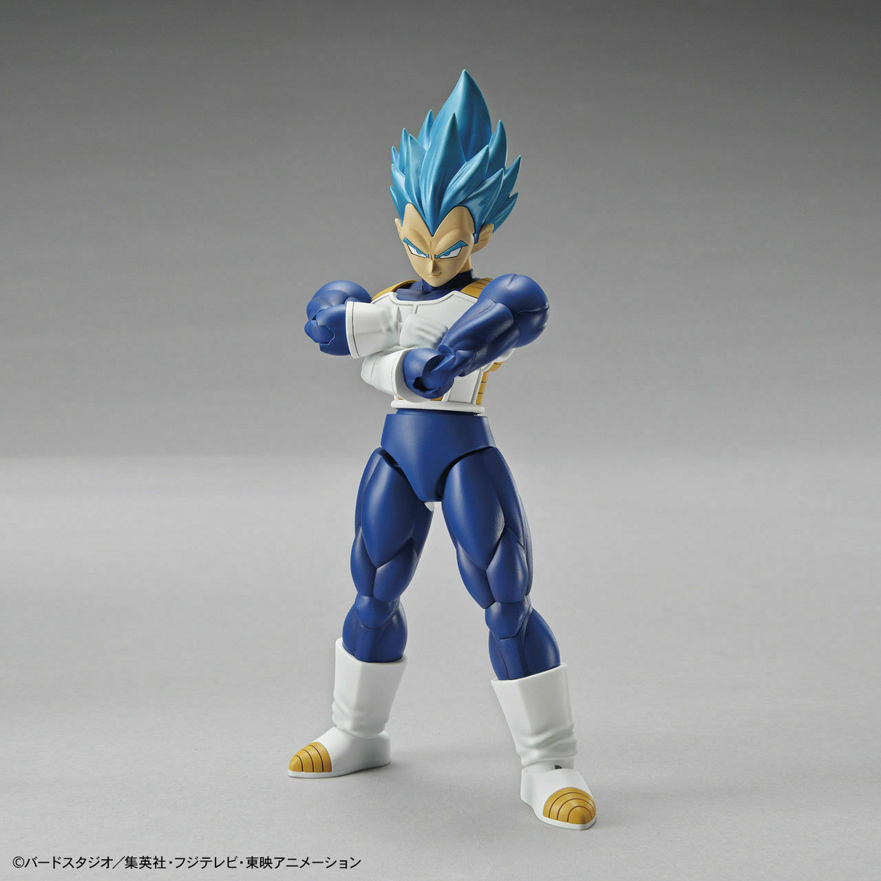 Bandai Figure-Rise Dragon Ball Super Super Saiyan God Vegeta Model Kit