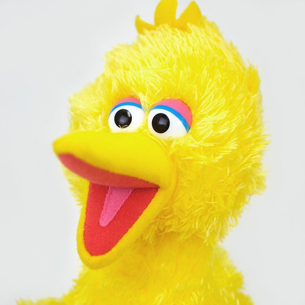 Sesame Street Big Bird Plush 30cm